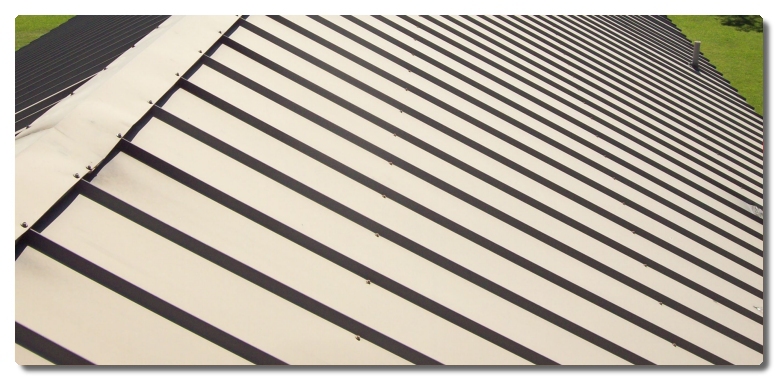 Standing Seam Roof